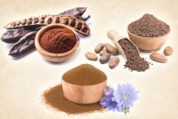 Какао. Кэроб. Цикорий 